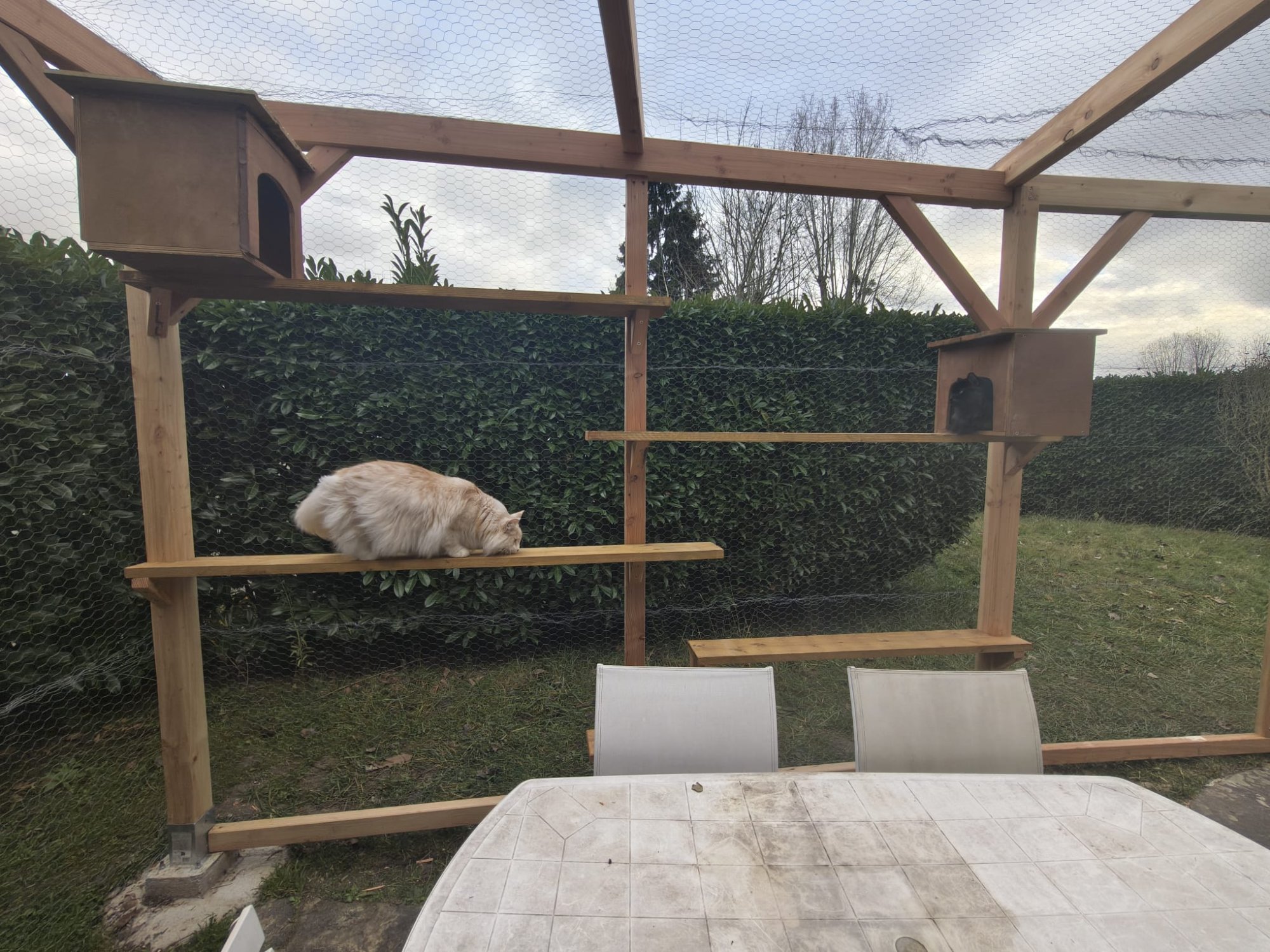 Amenagements pour les animaux